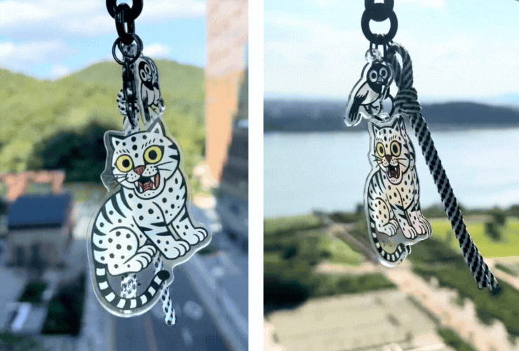 Hip reinterpretation of the tiger & magpie from folk paintings