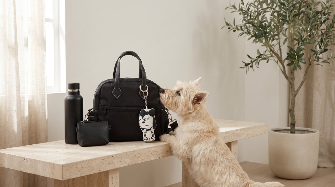 ショルダーバッグ:ソト歩きの相棒 BUDDYBAG/1050works First Reveal] Walkin' Bag: The Ultimate Cooler Waterproof and
